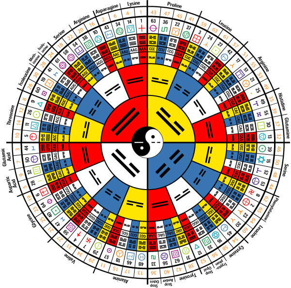 http://www.tortuga.com/eng/library/dna/rna_mandala.jpg