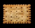 http://3.media.tumblr.com/tumblr_kv86oi2f3x1qz6f9yo1_500.jpg