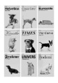 If Fonts Were Dogs

(via janicemomoko)

This really hits home since I just brought home a rambunctious young Fraktur of my own.