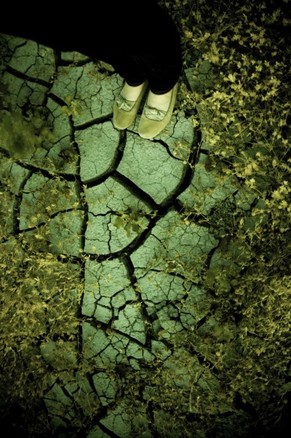 Cracks of the Earth